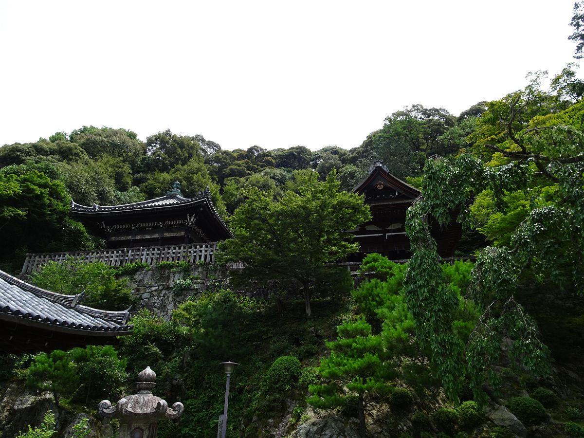 La vue générale du cimetière sur la colline recouverte de verdure