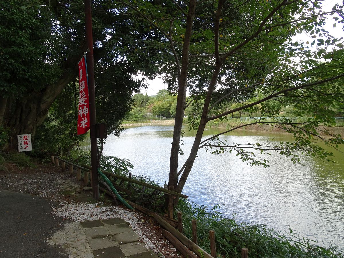 DSC00838