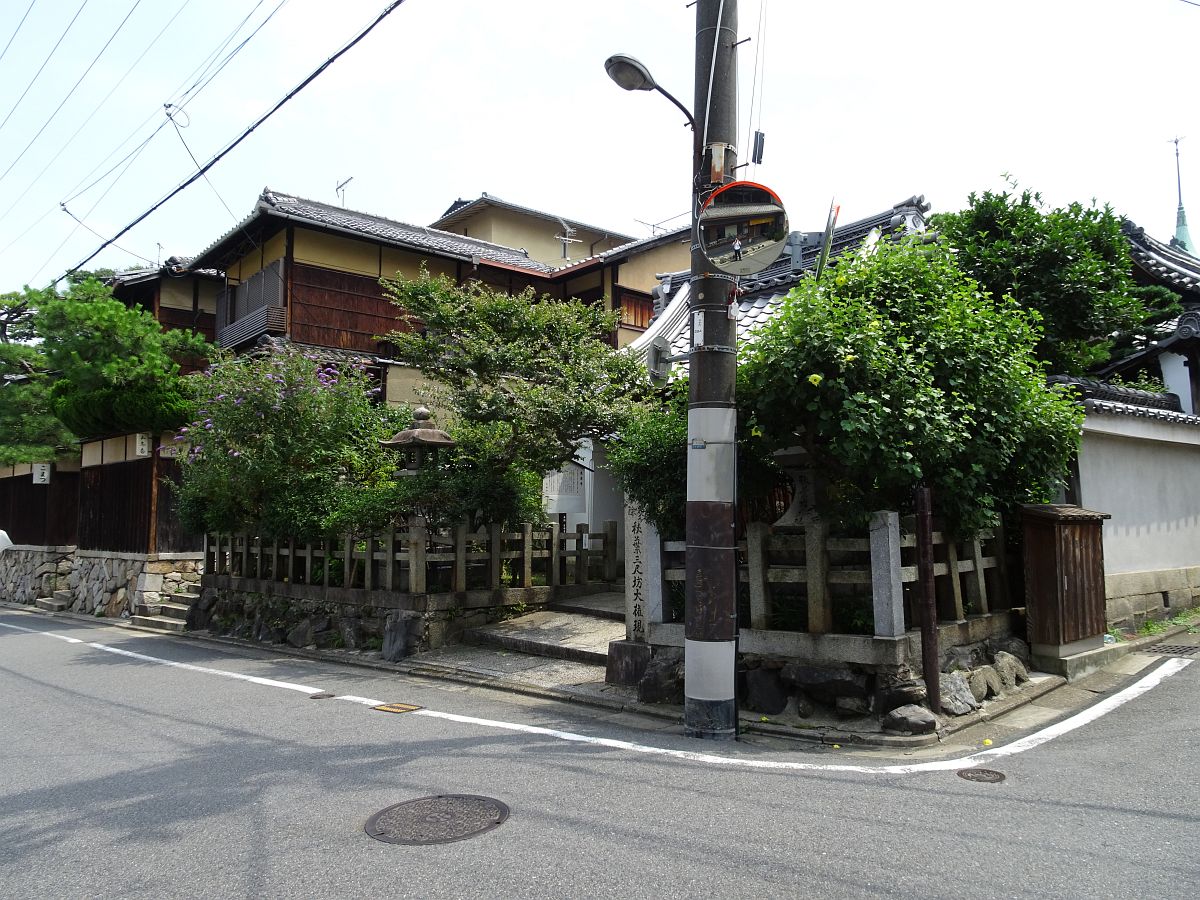 DSC00538