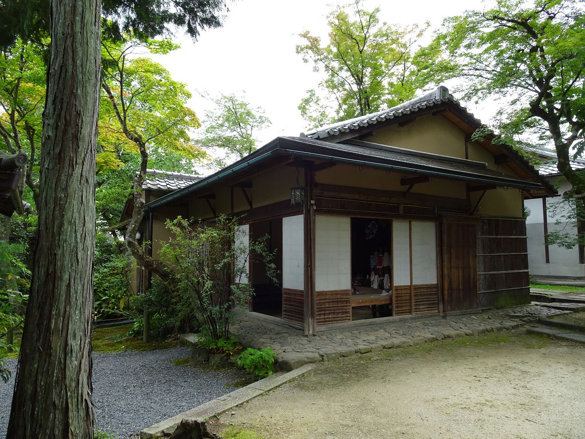 DSC00619