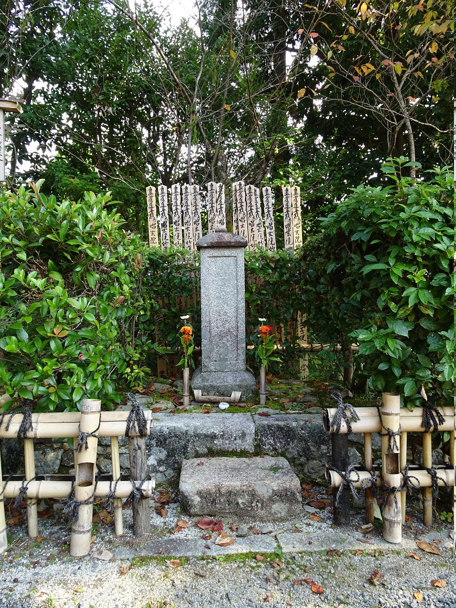 DSC00884